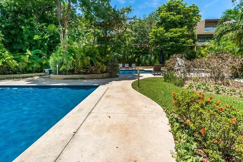 Apartment Del Viento Vaiven Penthouse 31 Condo Playa del Carmen Mexico